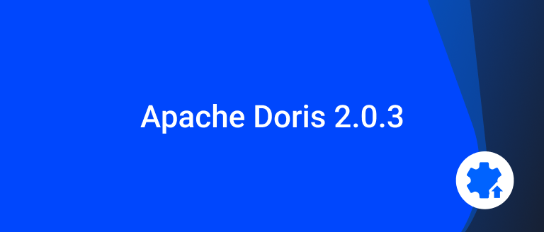 Apache Doris 2.0.3 just released - Apache Doris