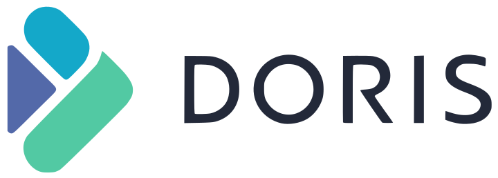 Doris Streamloader logo